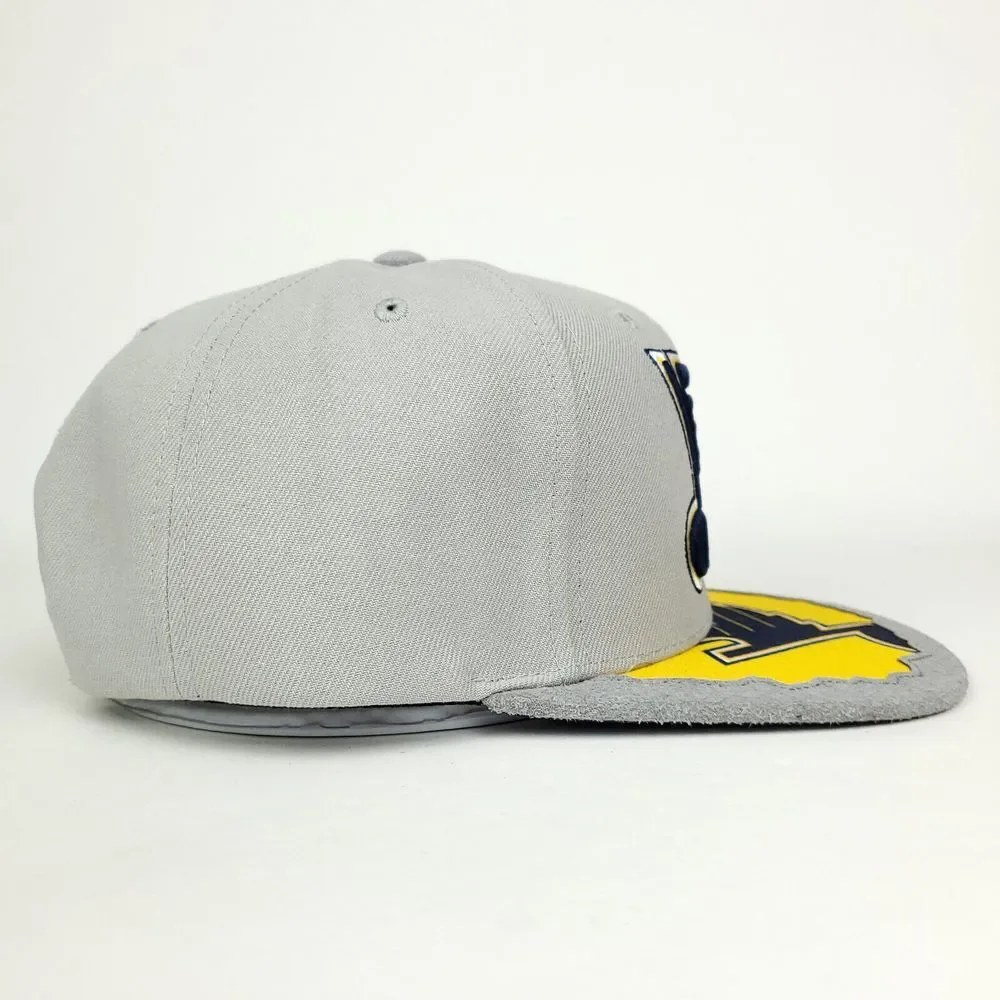 St. Louis Blues Mitchell & Ness‎ NHL Snapback Hat Cap 3D Logo Cut & Sew Bill NWT